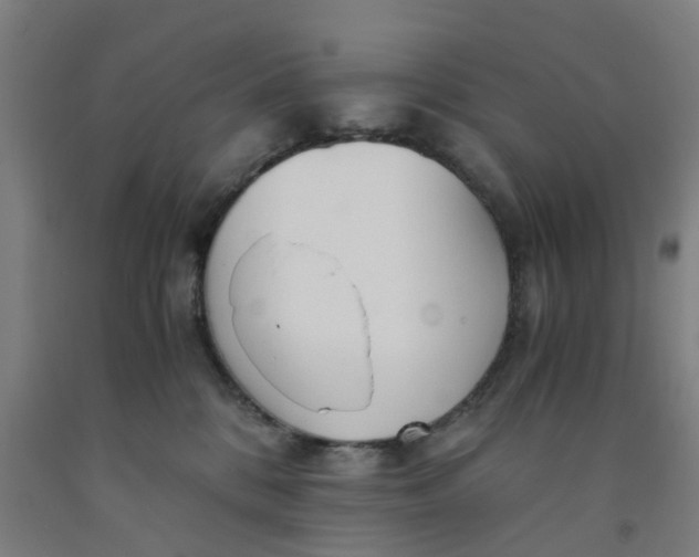 X0000091980328200709271432