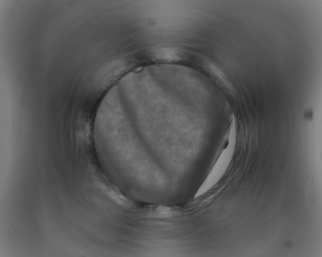 X0000091980330200709271432