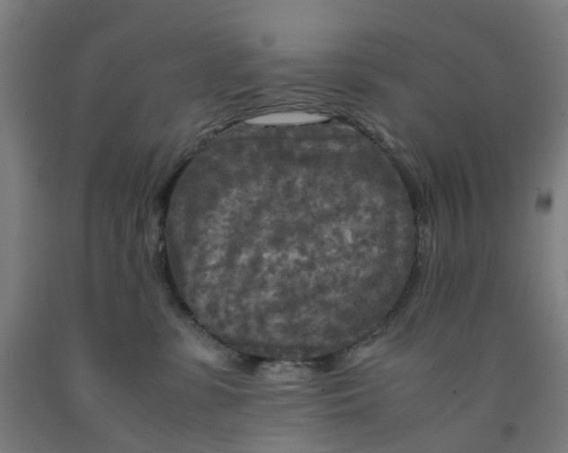X0000091980331200709271432