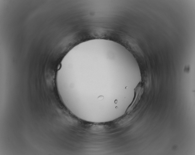 X0000091980332200709271432