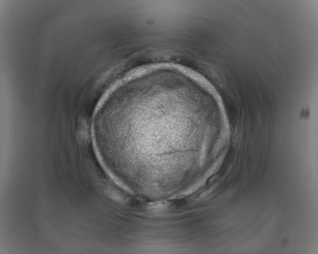 X0000091980335200709271432