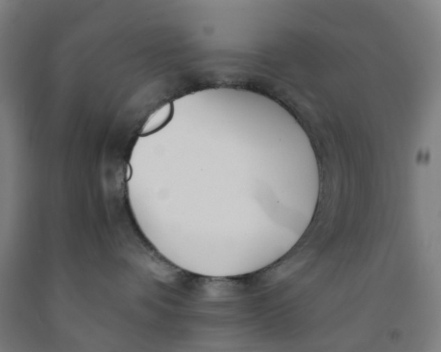 X0000091980336200709271432