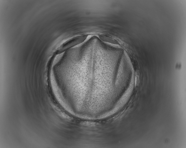 X0000091980339200709271431