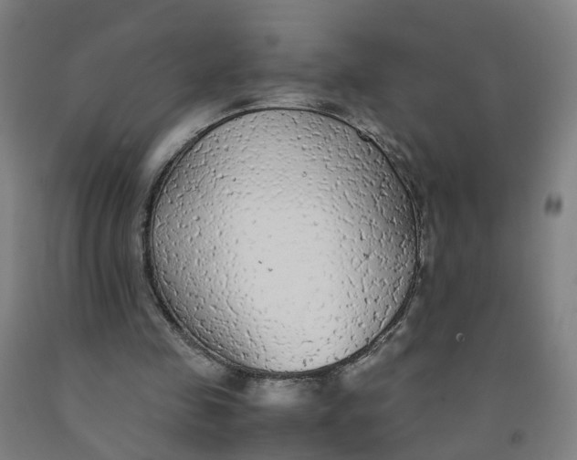 X0000091980341200709271431