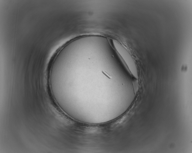 X0000091980342200709271431