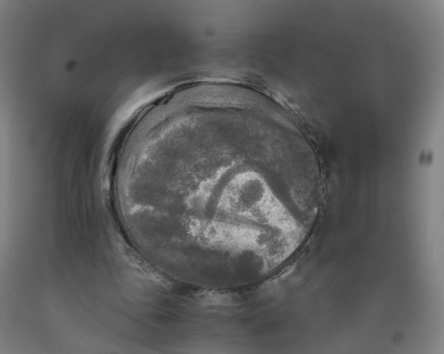 X0000091980343200709271431