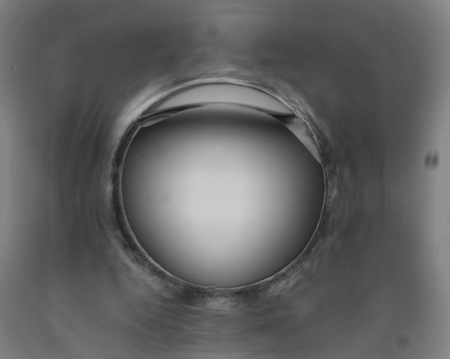 X0000091980344200709271431