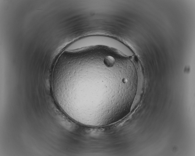 X0000091980345200709271431