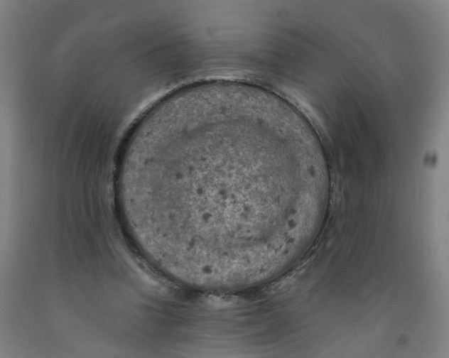 X0000091980346200709271432