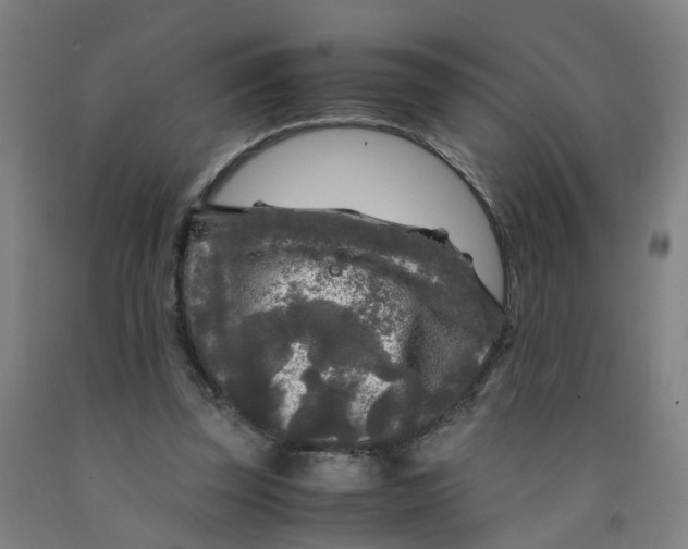 X0000091980347200709271432