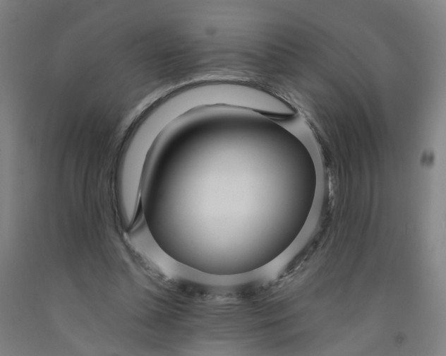 X0000091980348200709271432