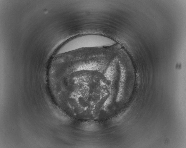 X0000091980351200709271432