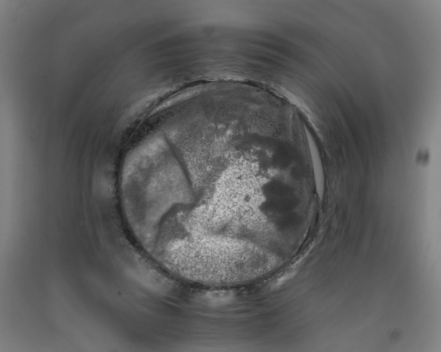X0000091980353200709271432