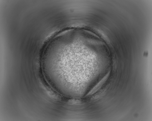 X0000091980354200709271432
