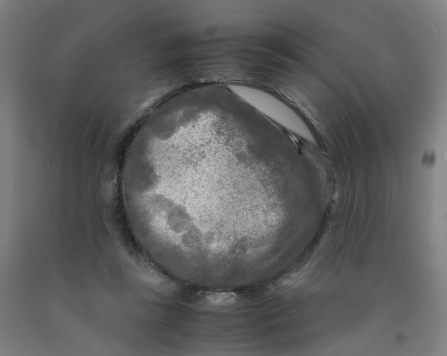 X0000091980355200709271432