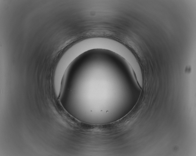 X0000091980356200709271432