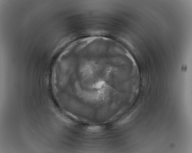 X0000091980357200709271432