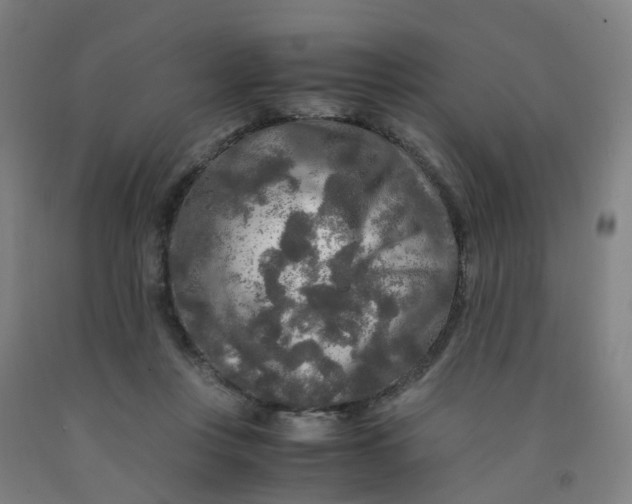 X0000091980359200709271432