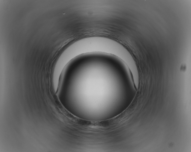 X0000091980360200709271432