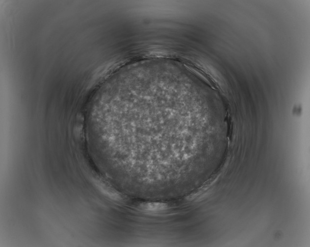 X0000091980361200709271432