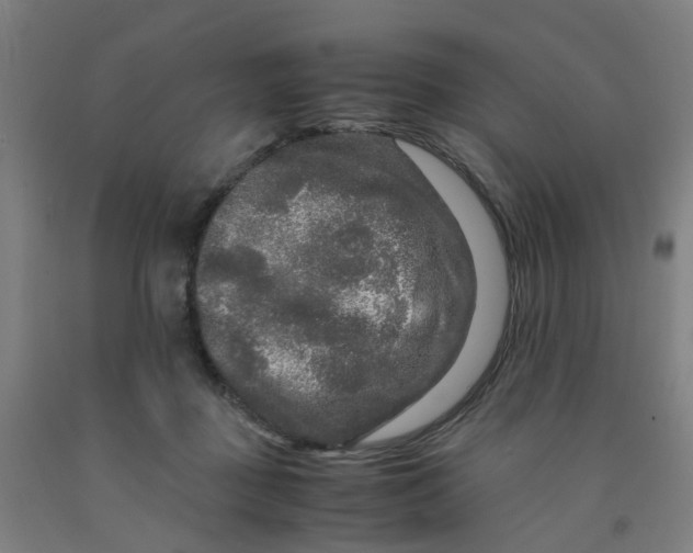 X0000091980363200709271432