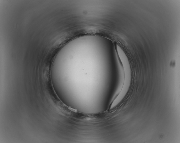 X0000091980364200709271432