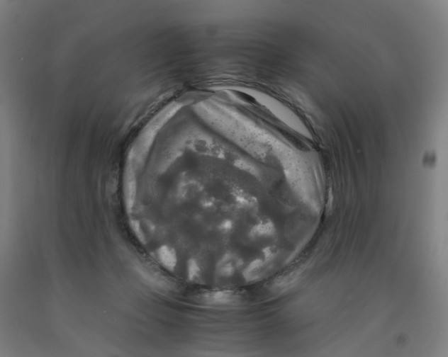 X0000091980365200709271432