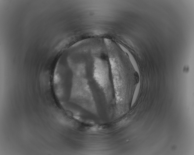 X0000091980366200709271432
