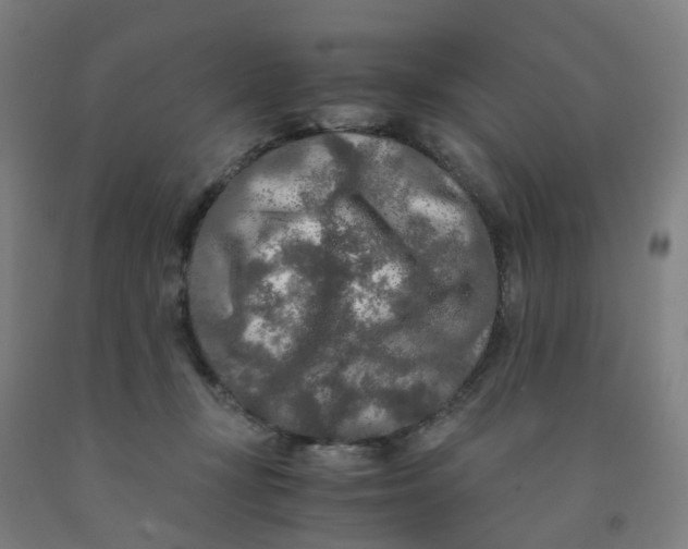 X0000091980367200709271432