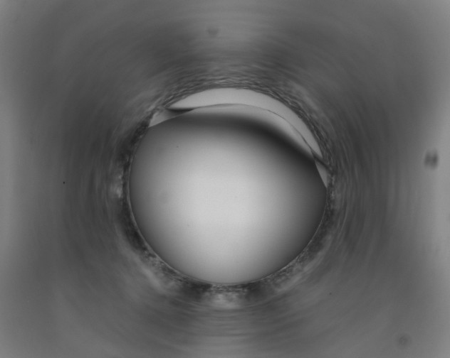 X0000091980368200709271432