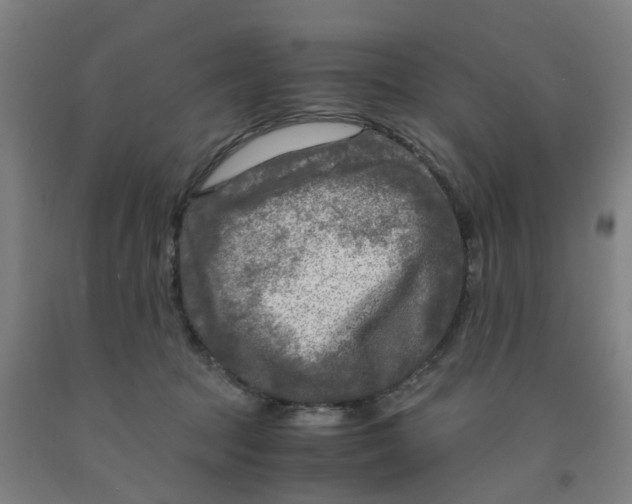 X0000091980369200709271432