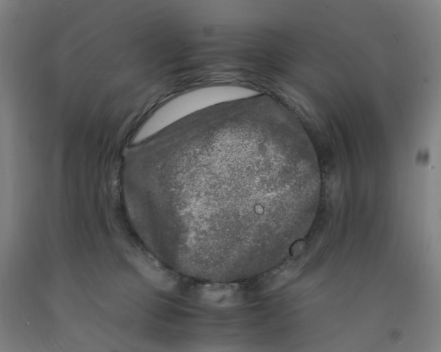 X0000091980373200709271432