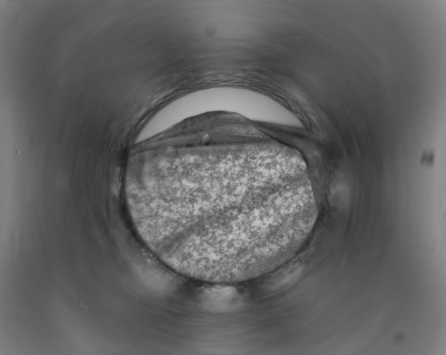 X0000091980374200709271432