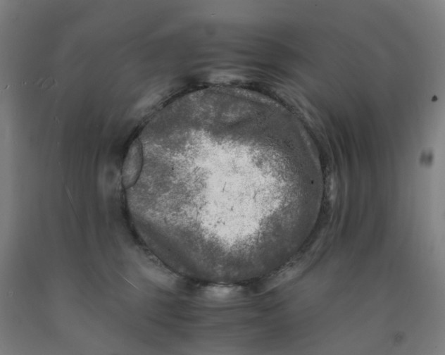 X0000091980375200709271432