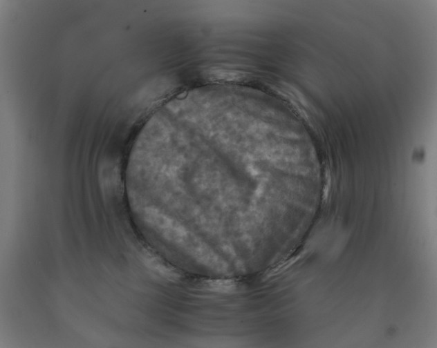 X0000091980377200709271432