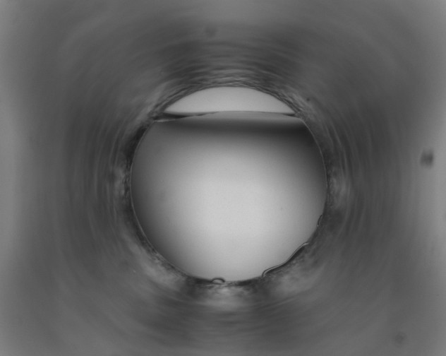 X0000091980379200709271432