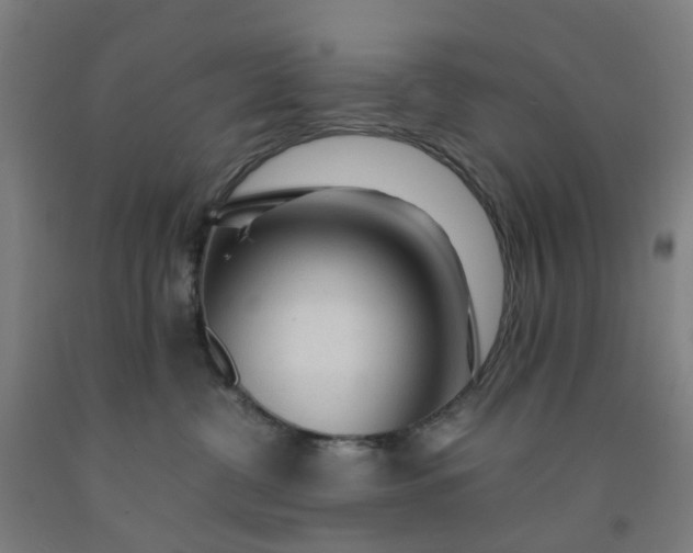 X0000091980380200709271432