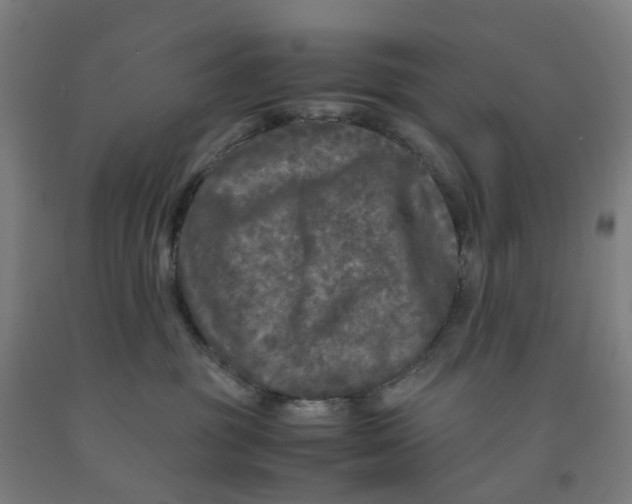 X0000091980381200709271432