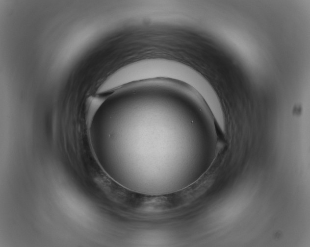 X0000091980382200709271432