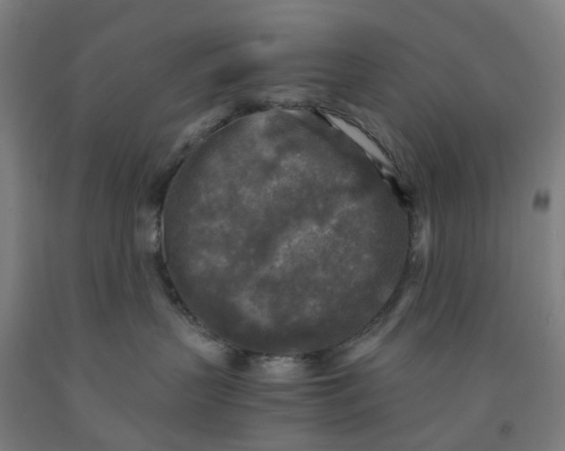 X0000091980383200709271432