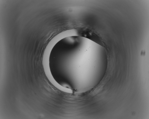 X0000091980384200709271432