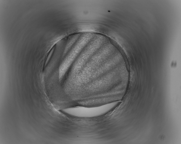 X0000091980385200709271431