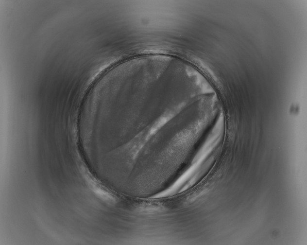 X0000091980386200709271431