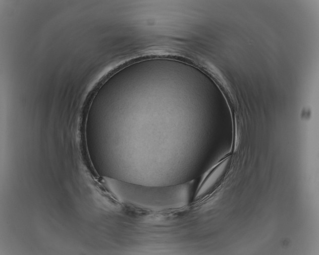 X0000091980387200709271431