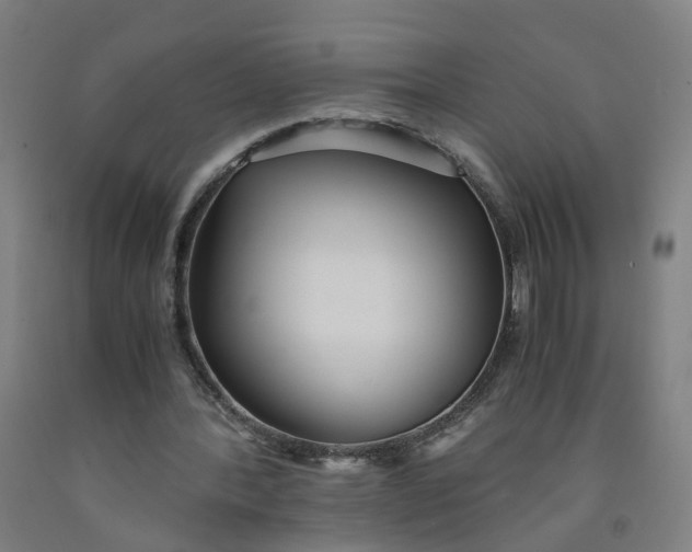 X0000091980388200709271431