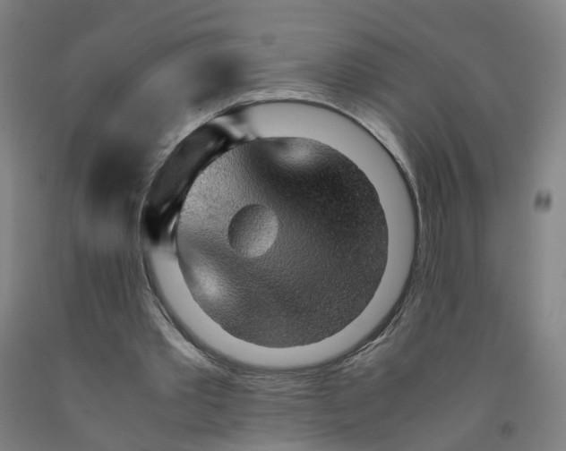 X0000091980389200709271431