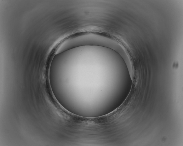 X0000091980392200709271431