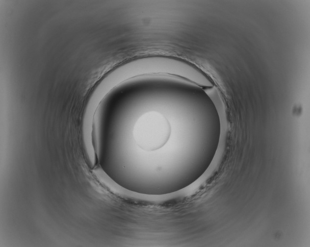 X0000091980393200709271431