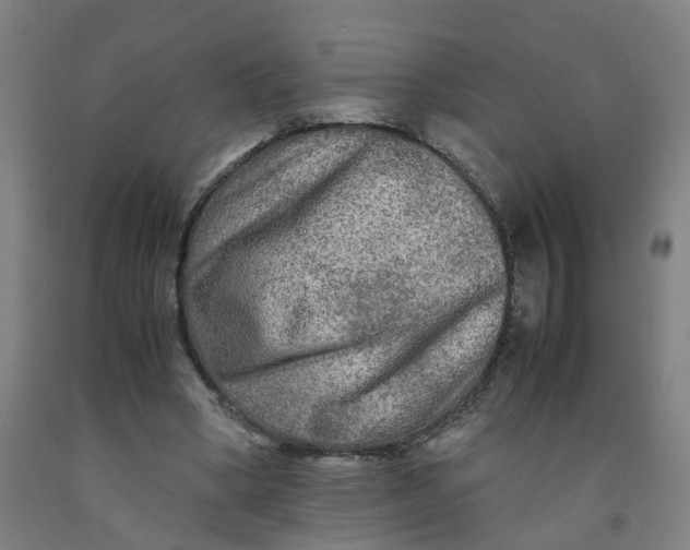 X0000091980394200709271431