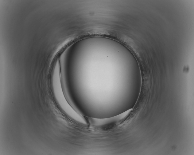 X0000091980395200709271431
